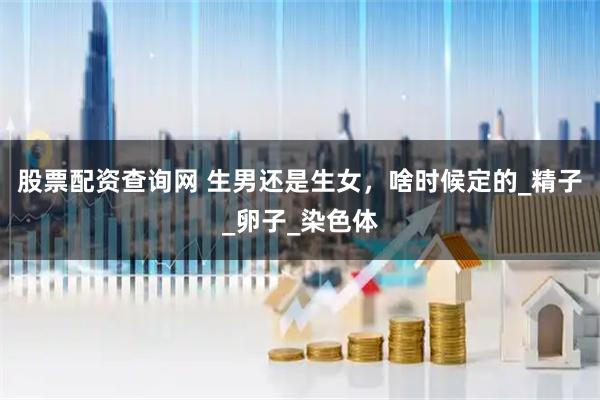 股票配资查询网 生男还是生女，啥时候定的_精子_卵子_染色体